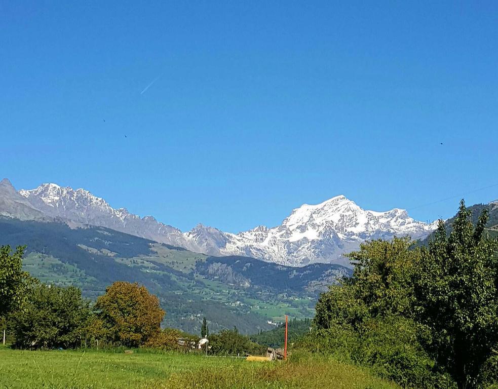 Fleur Des Neiges Aosta