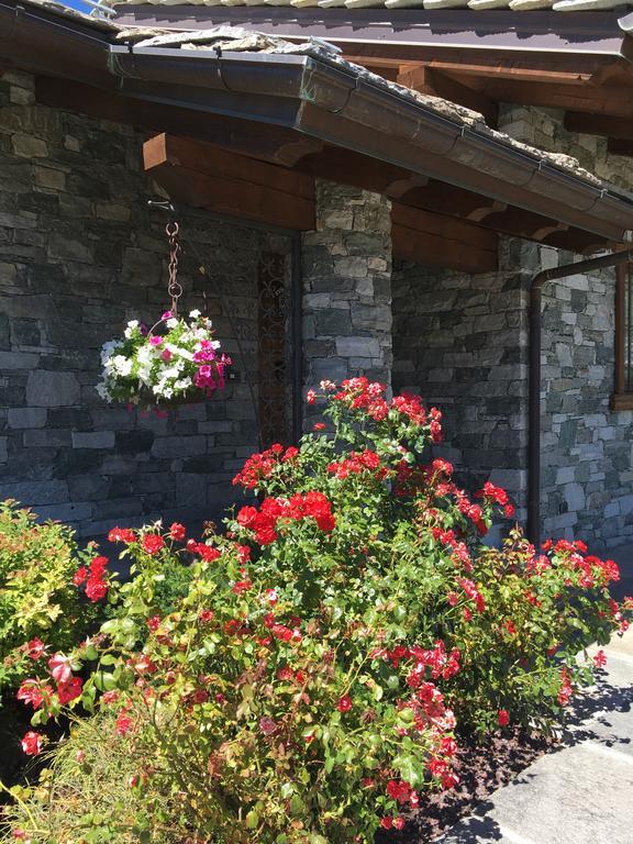 Fleur Des Neiges Aosta